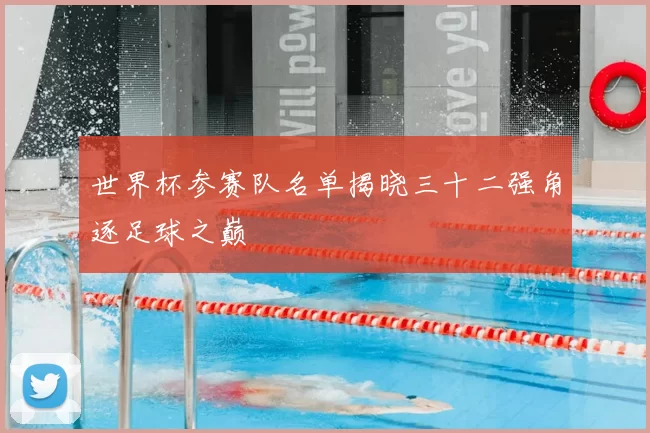 世界杯参赛队名单揭晓三十二强角逐足球之巅