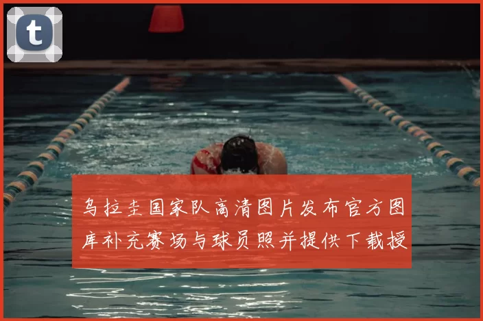 乌拉圭国家队高清图片发布官方图库补充赛场与球员照并提供下载授权说明